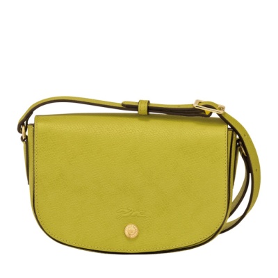 10253-hyz-kiwi-longchamp