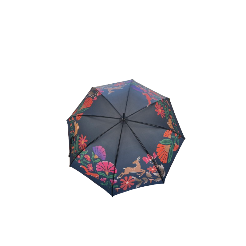 parapluie-canne-tringle-piganiol-wonderland-58_48611-0